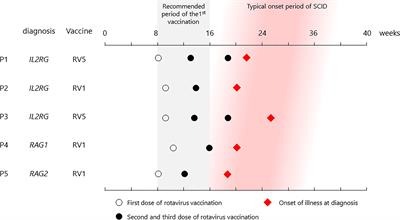 Case Report: Rotavirus Vaccination and Severe Combined Immunodeficiency in Japan